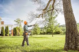 Best Weed Control  in Morton, WA
